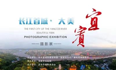 五月相约“大美宜宾” 沉浸“最美大学城”，共赏上百幅影视策划佳作